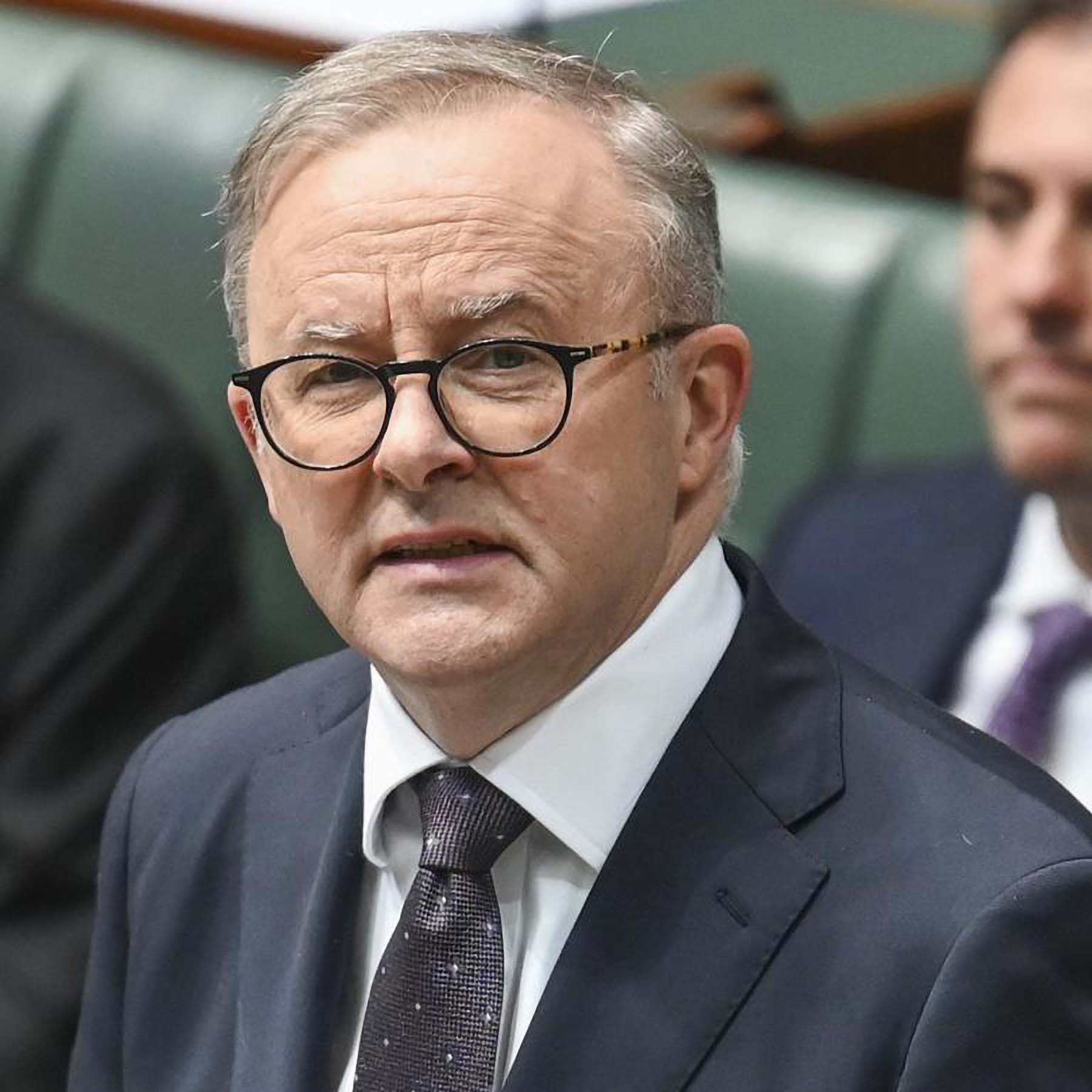 Albanese’s gun ‘buyback’ fizzles as states reject it 