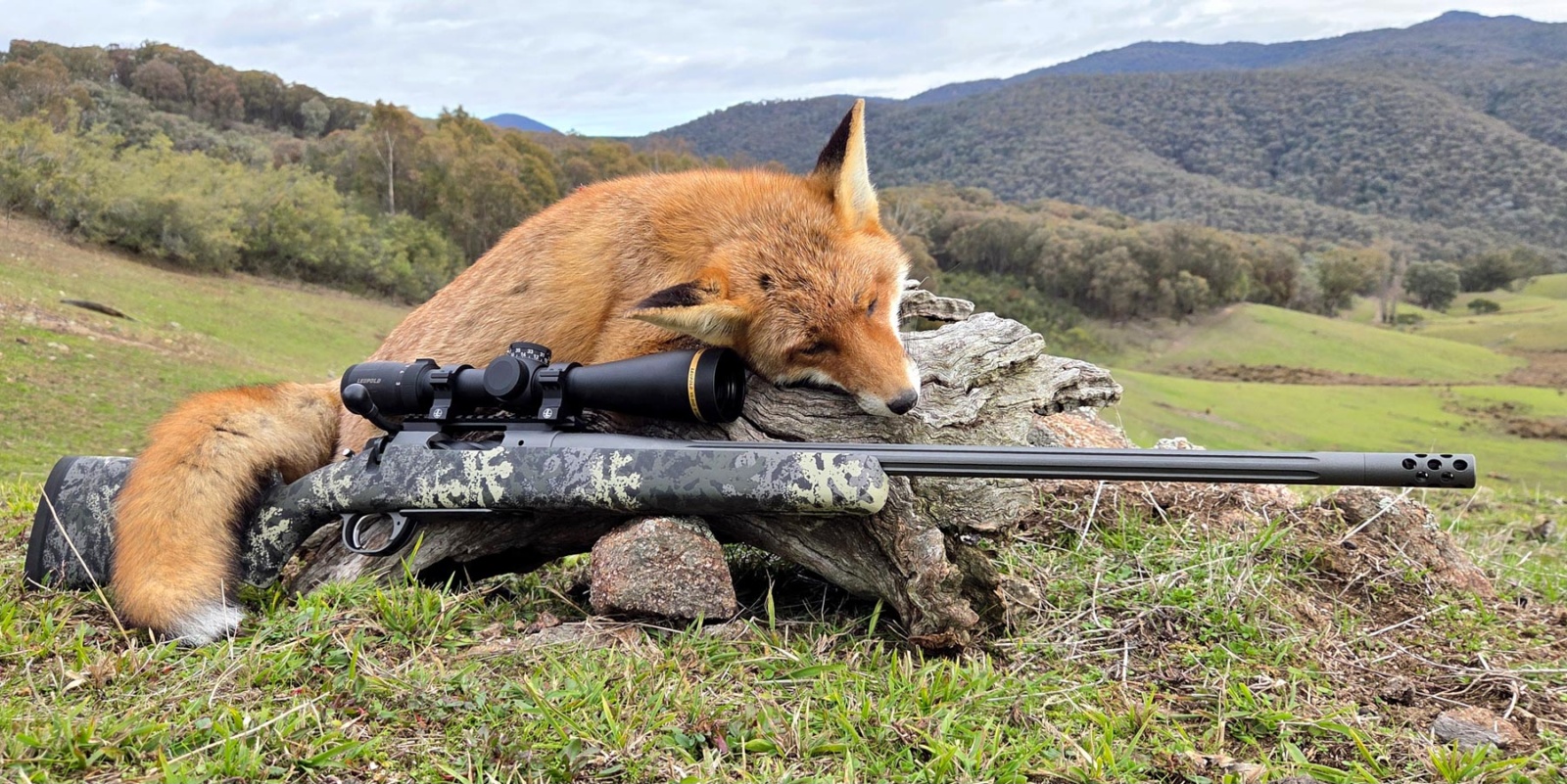 Springfield 2020 Boundary rifle test