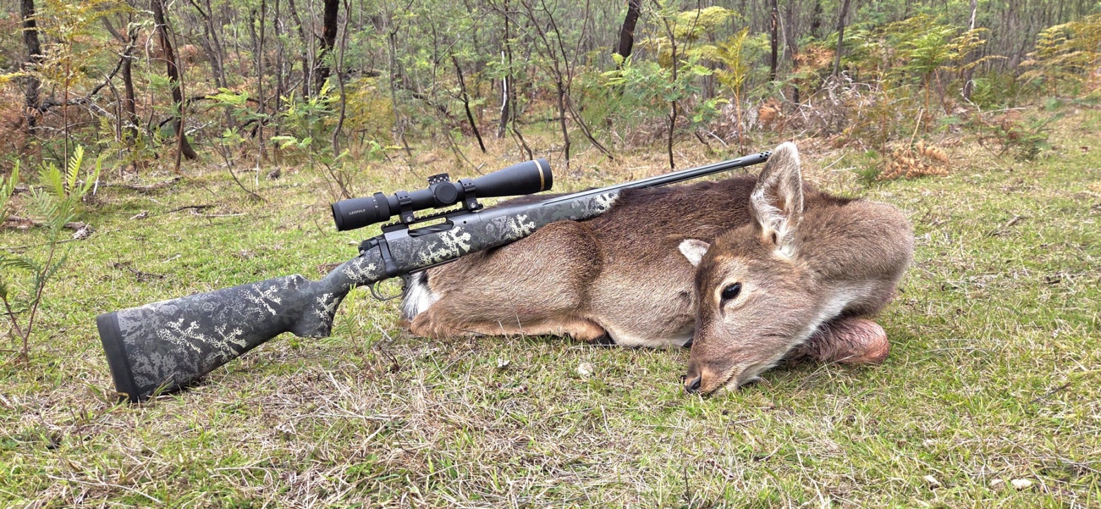 Springfield 2020 Boundary rifle test